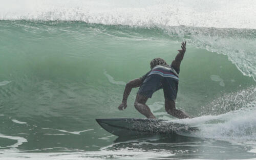 DSC00937 2 - Roberto Castro